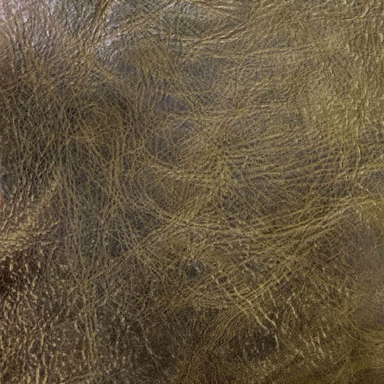 Grand Canyon Foresta